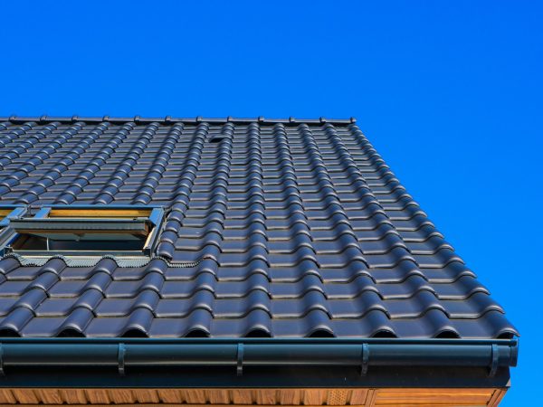 vertical-low-angle-closeup-shot-black-roof-building